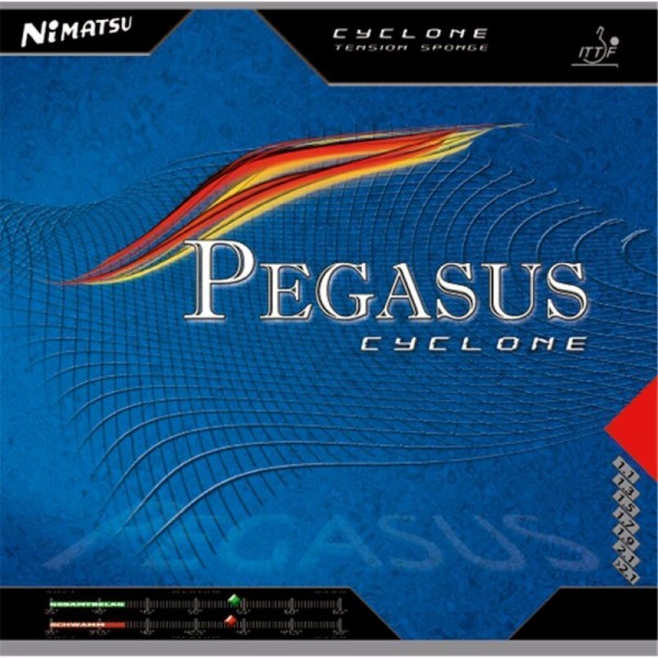 Pegasus_Cyclone_1