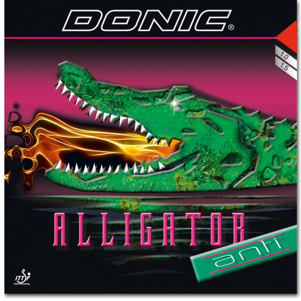 alligator_1